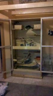 Riesiger Chinchilla Käfig inc. viel Zubehör und 3 Chinchillas 160cm x 82cm x 21