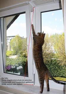 Kippfensterschutz für Katzen ohne das Fenster zu beschädigen