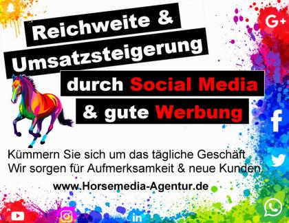 Social Media Content Creator zum Bestpreis