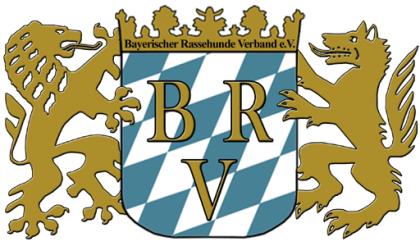 Europa - Cup - Siegerschau 2022 Rasse und Mischlings - Hundeschau
