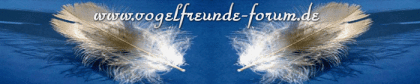Die Vogelfreunde treffen sich