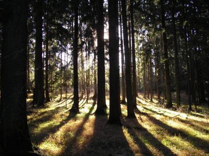 Erzweg - durch das Land der tausend Feuer