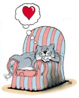 Wir bieten ein liebevolles Katzen-Zuhause