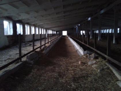 Kapitalanlage Stallgebäude für Hühner Schweine Kühe