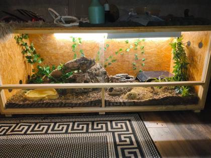 Königsphytons Terrarium Zubehör