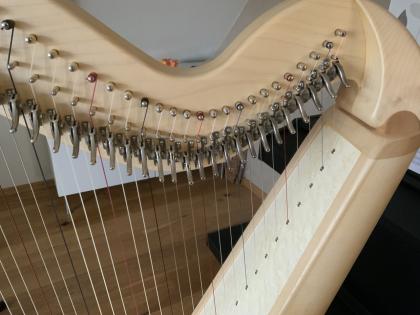 Hakenharfe Beryll 35 Saiten Ahorn Natur