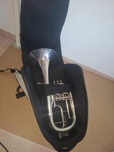 Verkaufe Fusion Althorn Gigbag schwarz