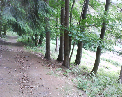 Seminar Selbstentwicklung - wie finde ich meinen Weg in Kaiserslautern