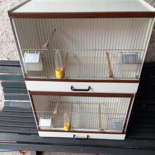 Zuchtboxen für Vögel