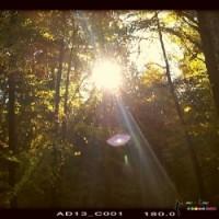 Engelfluesterin bei Lisaline. de 15 Minuten GRATIS für Neukunden