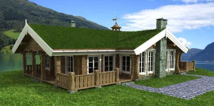 Norwegisches Ferienhaus Berghütte