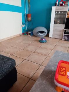 EKH Jungkatzen Ich suche ein liebevolles Zuhause für meine zwei super süßen verschmusten Katzen.