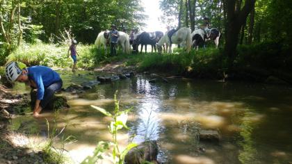 Kid s Kurs Pferdecamp Reiterferien