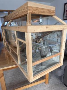 Terrarium mit viel Zubehör und 2 Bartagamen