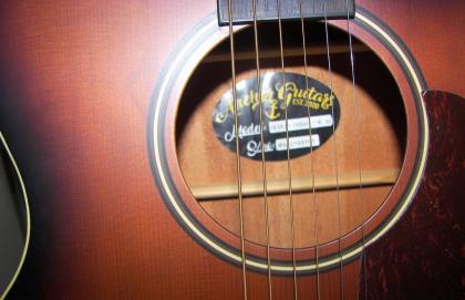 NEU Verkaufe Stahlsaitengitarre Anchor Guitars Berlin in TABAC CW AE