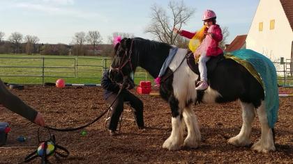 Kid s Kurs Pferdecamp Reiterferien