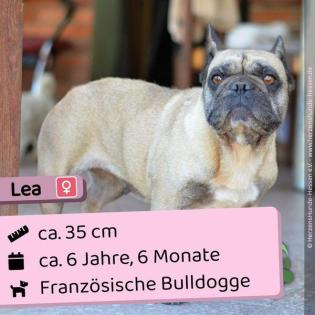 Lea - total lieb und sozial freiatmend