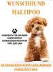 Der Maltipoo Malteser x Kleinpudel Rasse-Portrait Hundebuch über Welpenkauf