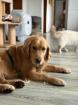 Annastasia -