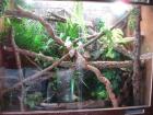 Terrarium 200x100x100 cm komplett mit Technik