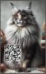 Maine Coon Notizbuch Buch mit Maine Coon Motiv Kalender Tagesplaner Geschen