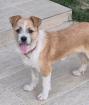 Mia - Kleine verspielte Mia sucht Zuhause