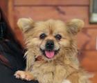 Fettucine sucht ein ruhiges Zuhause