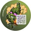 Mandarin Kush - Online-Shop