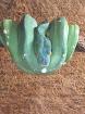 Morelia viridis 1 0 NZ 2012