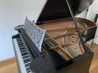 C. Bechstein Flügel Modell V von 1903