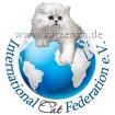 Katzen Club