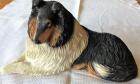 Hund Colli