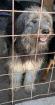 Oliver - Einzelprinz Oliver will geliebt werden